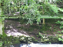 The Flow of Data Captured in an Idyllic Scene screenshot